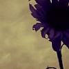Jill H