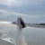 jill_0605