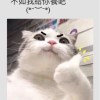 jim020591