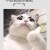 jim020591