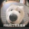 世界冠軍