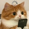 jimmytsai885