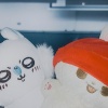 jing_0331