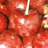 🍒