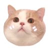 一只鸡腿子