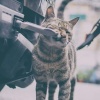 不見人