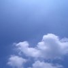 赳赳