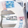 尘D