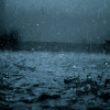 jose_lau