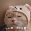 joufflu_