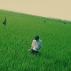 soledad