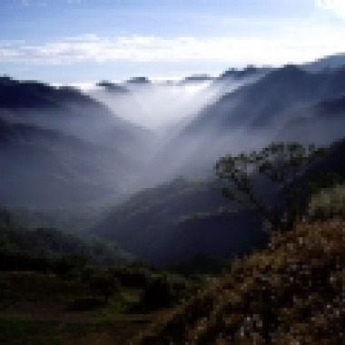 西北水晶餃