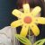 judy_1016