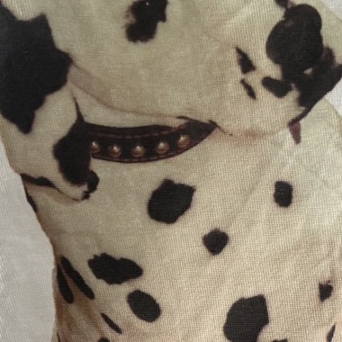 躺床紀事@@愛的躁鬱ㄓㄥˋ