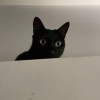 Juliette