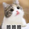 jun_yang_wu