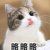 jun_yang_wu