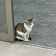 米開朗基螺絲釘