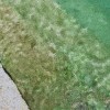 flyash_cu