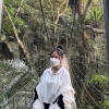羊