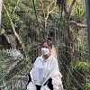 羊