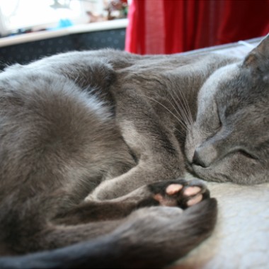 When I Return Home. My Wife is Always Playing Dead
