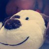 kacy_lu