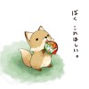罐裝洛(◉◞౪◟◉‵)