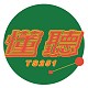 懂聽TS251