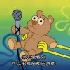 老實說熊熊
