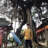 kasper_chen