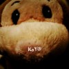 kaya320