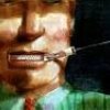 凤凰的羽毛