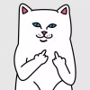 Miaow?