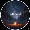 城外inthewildmusic
