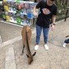 我們的歌
