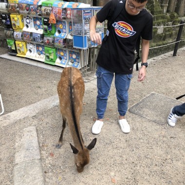 我們的歌