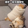 kibao