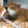 kikkoooo