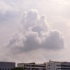 蕃茄er