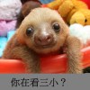 快樂兒童餐
