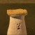 鮑菇杏MUsHROOM