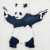 bear蒋