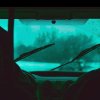 九龍電車