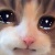 蘇葵