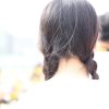 書兔子