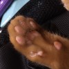 阿扁巴巴大俠