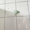 波龍龍