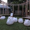 許貴