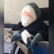 賴廷